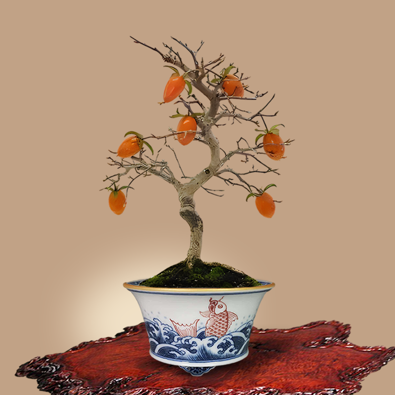 马说推荐 全手工手绘青花仿古鱼腾四海纹花盆