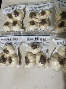 兰州百合新鲜食用甜九年生特产级两头皇500g甘肃西果园生吃白合