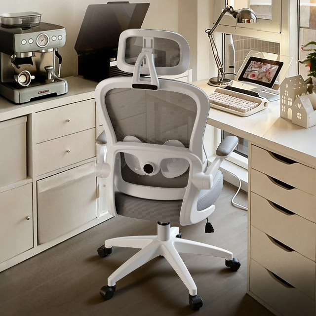 舒适久坐家用办公电脑椅大学生宿舍学习椅室内靠背椅子人体工学椅