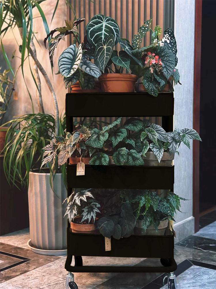 小推车置物架绿植物花架客厅落地可移动阳台不占地秋海棠花盆托架
