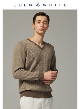 圣雪绒2019秋冬新品羊绒衫男士V领几何纹样提花商务休闲针织衫