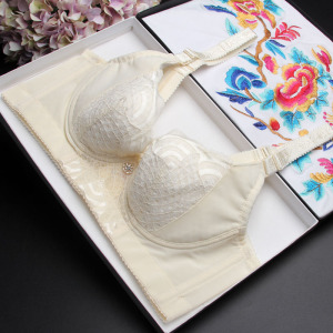 5排扣无海绵薄款透气深V性感聚拢文胸 上托定型收副乳调整型内衣