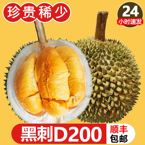 马来西亚黑刺榴莲D200整果带壳