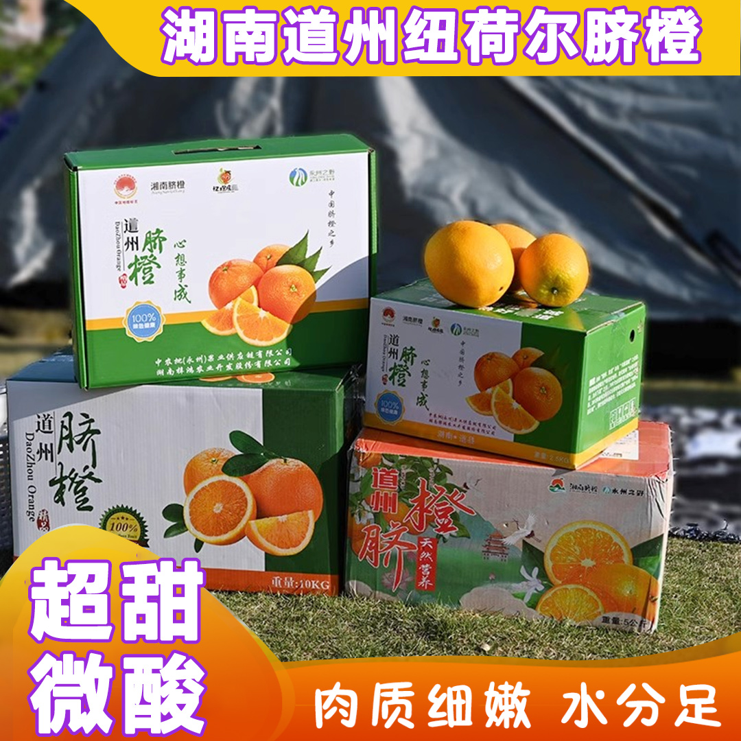 湖南道州脐橙新鲜整箱10斤礼盒装