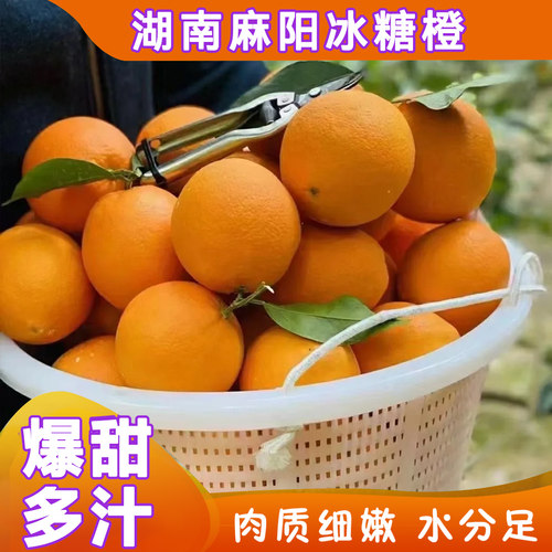 新鲜正宗当季水果麻阳冰糖橙橙子