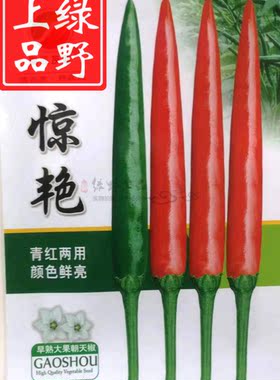绿野上品蔬菜种子泰系朝天椒果硬