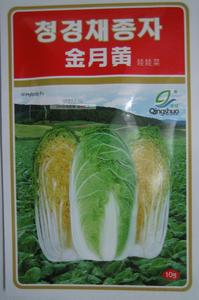 韩国引种金月黄50天小白菜种子橘黄心耐高温抗病娃娃菜秋播蔬菜种