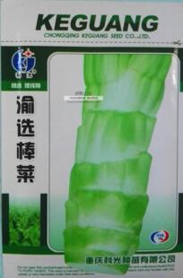 绿野上品优选早熟薄皮棒菜种子科光渝选棒菜芥菜四川重庆菜头秋播