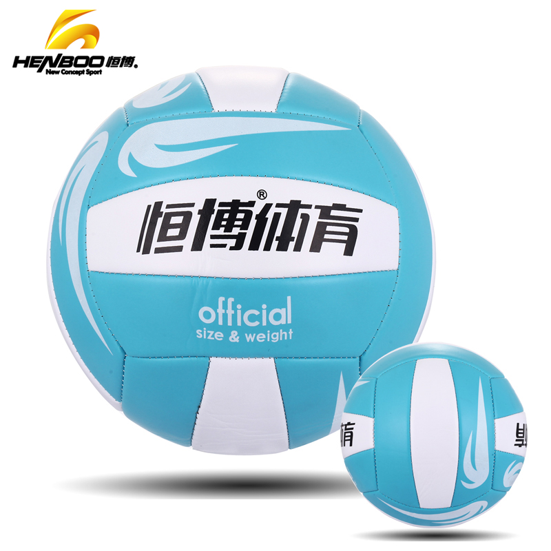 Ballon de volley - Ref 2010343 Image 1