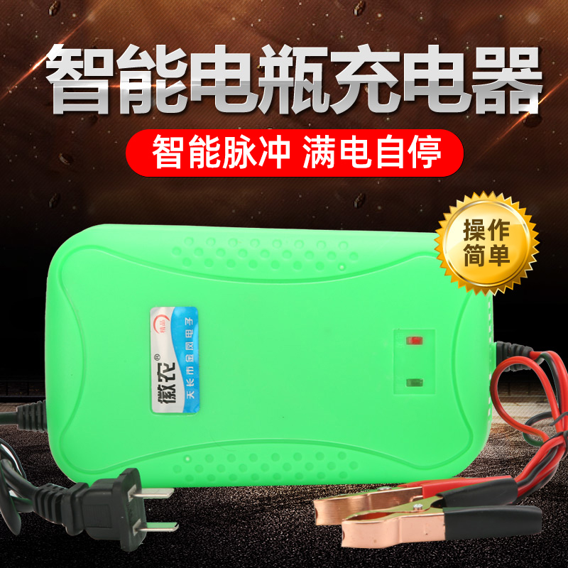 汽车电瓶充电器12v通用型全自动