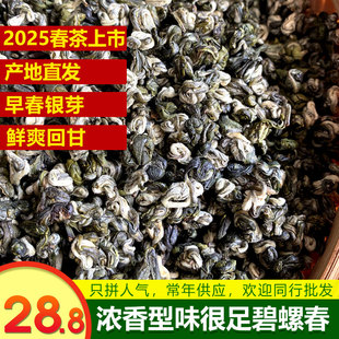 2025新茶浓香型云南明前碧螺春茶叶散装炒青绿茶鲜爽耐泡500g