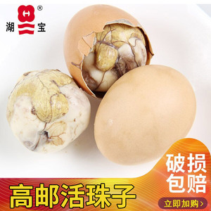 湖宝牌营养鸡胚蛋活珠子13天鸡宝非旺鸡蛋熟喜蛋非毛蛋20只