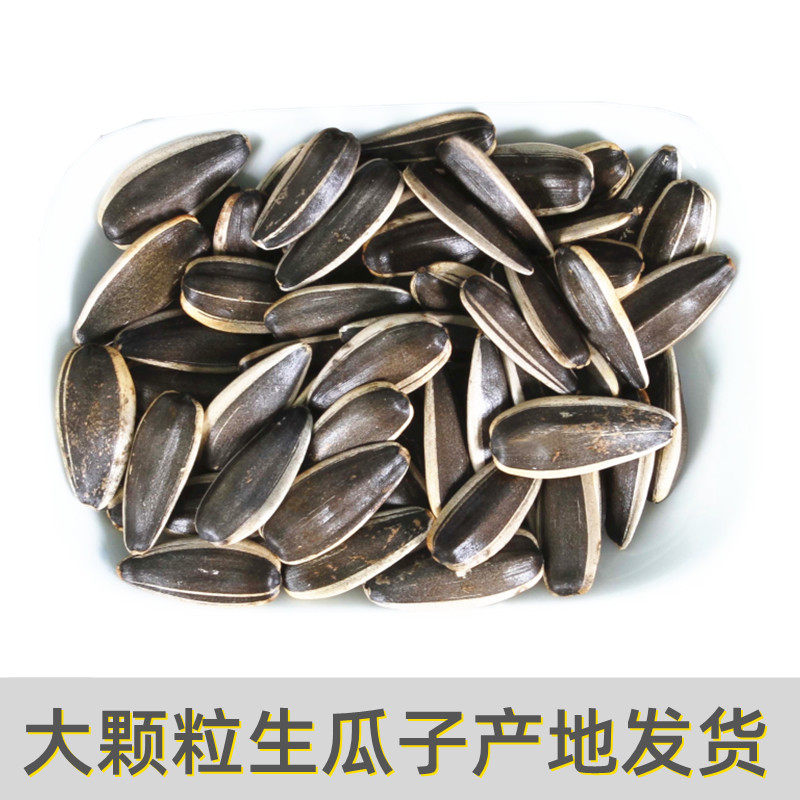 内蒙古生瓜子361产地发货葵花籽葵瓜子炒货生货大颗粒