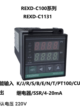 太洲电气 C100 REXD-C1131 数显智能温控仪 电加热温控器 口罩机