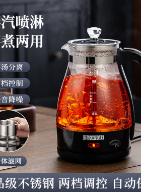 安化黑茶普洱电茶壶多功能蒸汽煮茶器加厚玻璃养生壶保温电热水壶