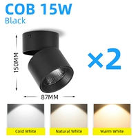 Cold White+Type A 15W Black