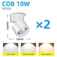 Cold White+Type A 10W White