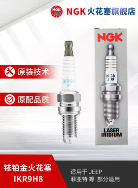 NGK铱铂金火花塞 IKR9H8 92395 单支装适用于菲翔博悦领雅致悦