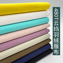 2023年新款 棉服面料防晒服20D里布 羽绒服布料480T云绉微皱轻薄款