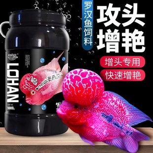罗汉鱼饲料起头增色专用攻头爆头鱼粮高蛋白小颗粒罗汉鱼通用鱼食
