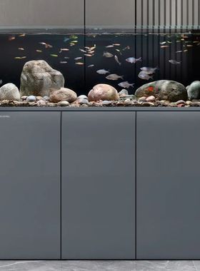 闽江底滤生态鱼缸客厅家用大型原生造景南美缸简约现代背包溪流缸