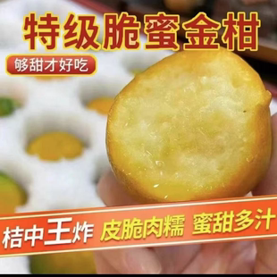 顺丰四川凉山高原新鲜脆甜金桔小糖泡3斤起现摘现发