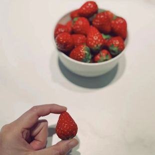 商用四川凉山牛奶奶油小草莓尝鲜蛋糕甜品冰糖葫芦