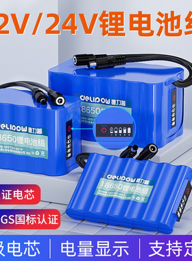 德力普12v锂电池组18650大容量聚合物音箱太阳能路灯24伏可充电