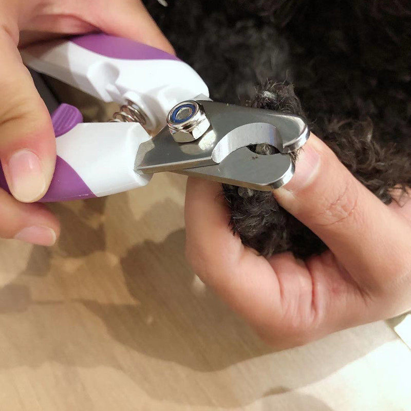 TOMMY&COCO狗狗指甲钳犬猫不锈钢