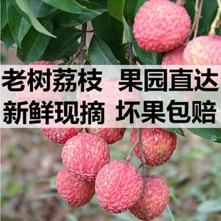 广西时令新鲜荔枝白小核糖罂肉厚妃子孕桂妇笑味水果顺丰京东包邮