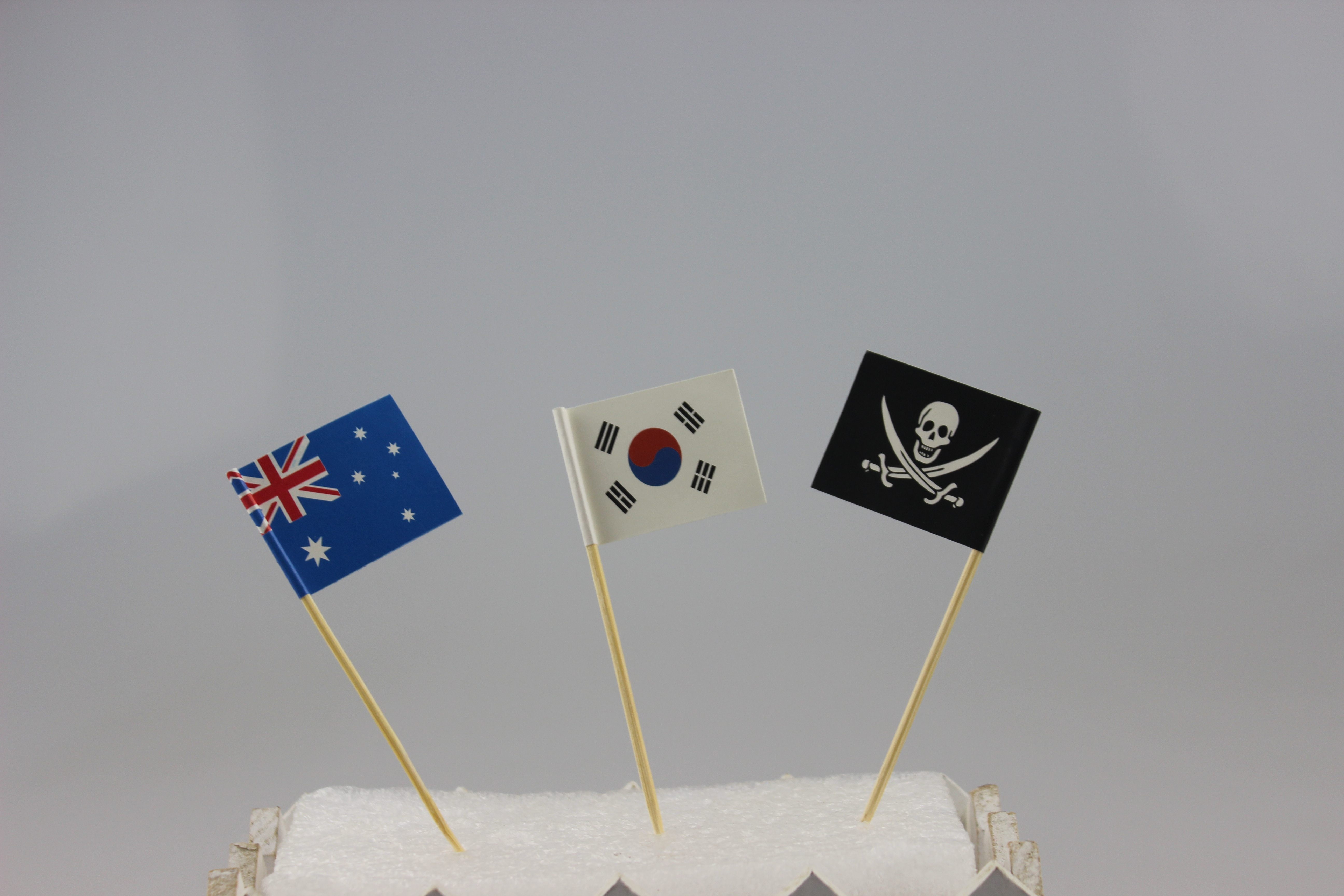 现货海盗旗中国旗韩国旗澳大利亚旗帜牙签插旗竹签迷你旗万国旗