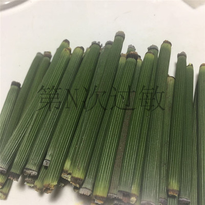 砥草 金缮莳绘 研磨工具