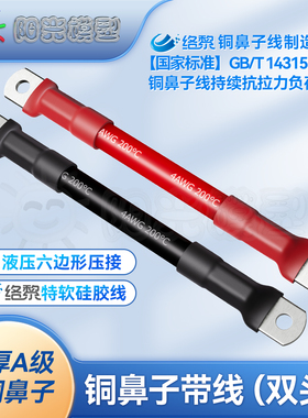 络黎铜鼻子带线双头纯铜线电瓶线硅胶线电池线搭铁线线束加工平方