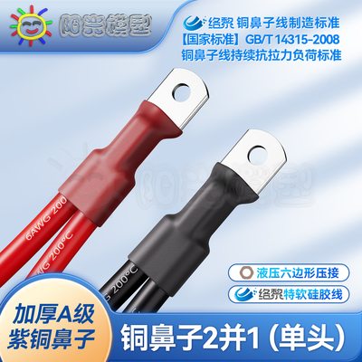 络黎大电流紫铜铜鼻子线