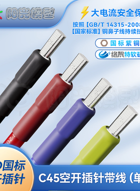 络黎空开插针单头线C45插片DTD紫铜铜鼻子空气开关断路器接线端子