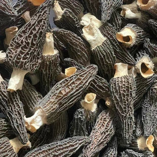 庆元羊肚菌干货菌煲汤食材高山蘑菇食用菌菇50g