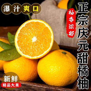 庆元甜桔柚新鲜桔子高山甜橘柚非建阳柚子水果5斤礼盒装