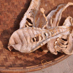 笋干干货农家自制笋尖野生春笋丝毛竹笋干庆元冬笋嫩笋500g