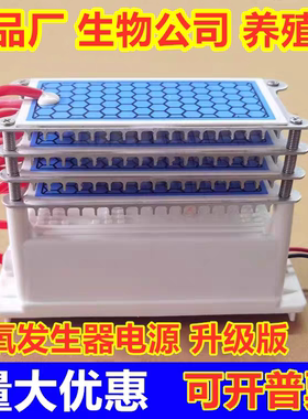 220v臭氧发生器养殖场食品厂杀菌消毒除异味甲醛空气净化器配件