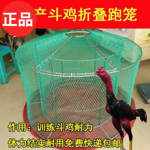 斗鸡跑笼斗鸡折叠跑笼斗鸡双层跑笼 斗鸡折叠笼