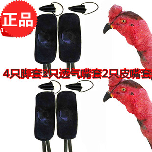 斗鸡用品 泰国斗鸡脚套 斗鸡嘴套 驯养斗鸡用品 斗鸡训练用品护具