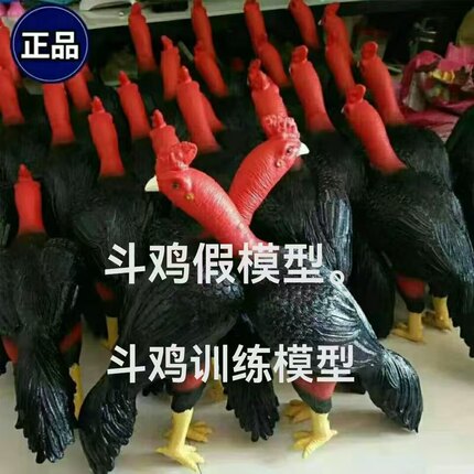 斗鸡训练模型斗鸡假模型鸡斗鸡假鸡