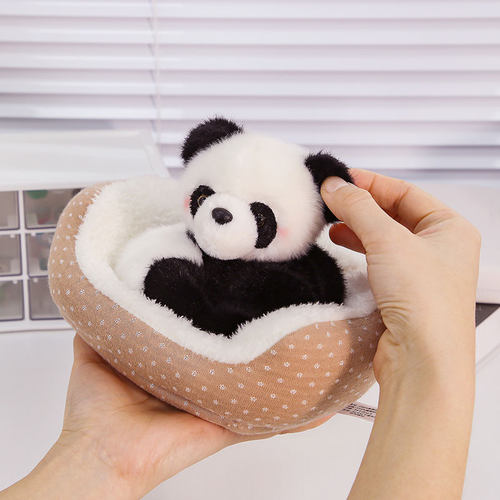 软萌玩偶熊女安抚布娃娃桌面摆件