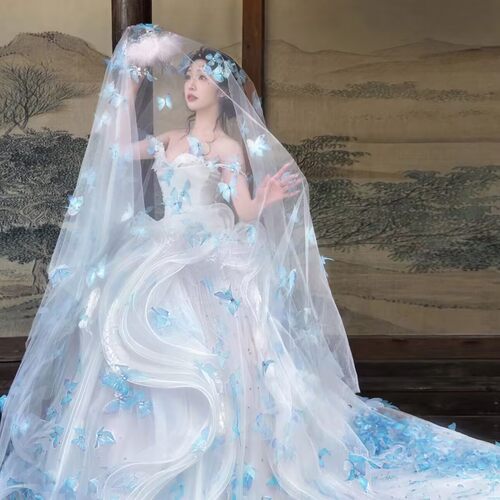 蝴蝶头纱粘花流苏蝴蝶伞摄影道具