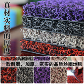 丝圈地毯脚垫可裁剪家用地垫进门入户门垫门厅防滑垫塑料地垫吸尘