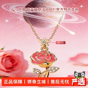 太空造物星辰之恋玫瑰陨石项链航