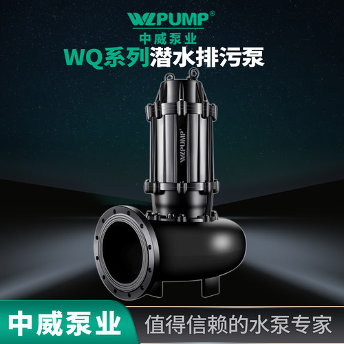 WLPUMP/中威排污泵铸特