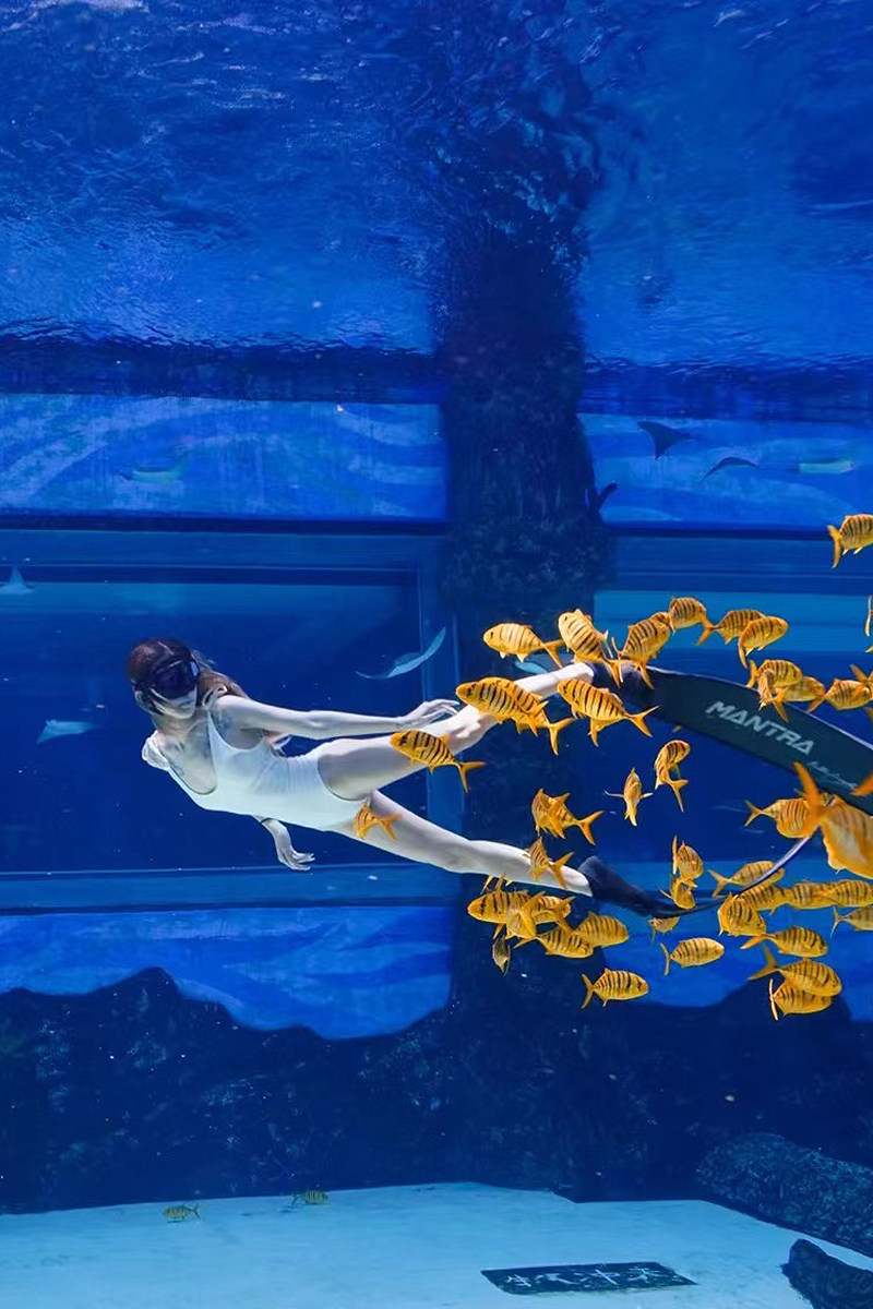 潜水拍照流苏连体泳衣高级感泡温泉性感显瘦修身显腿长大露背高叉