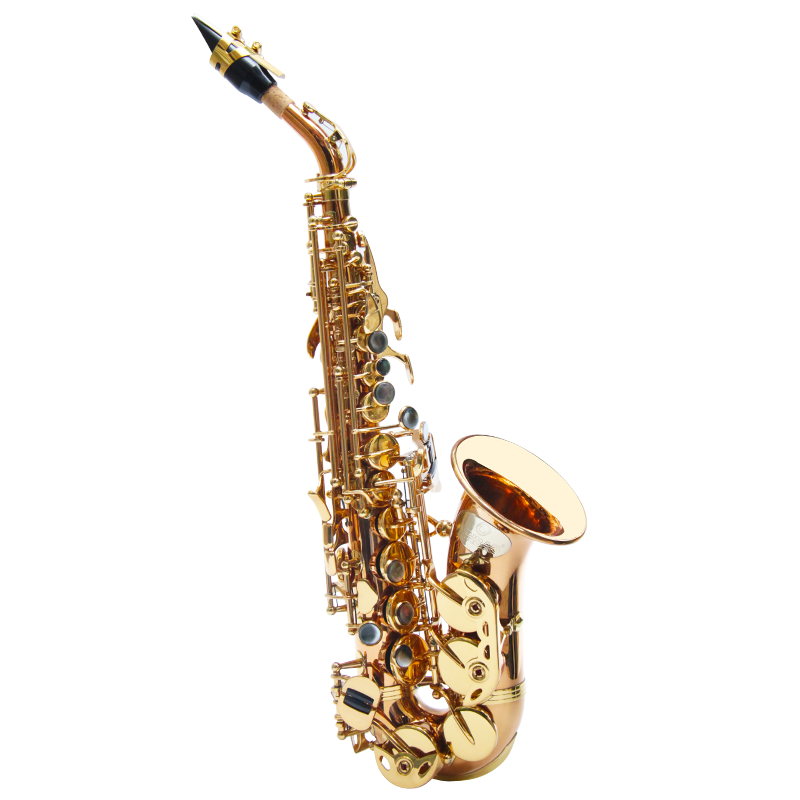 津宝JBSSC-1010高音弯管小萨克斯风降B调初学演奏儿童管乐器