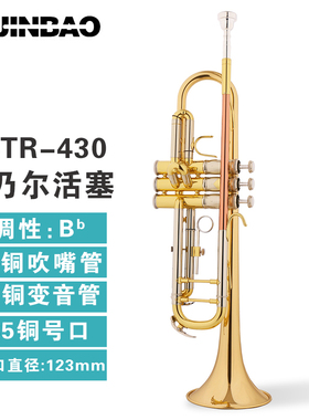 津宝小号乐器JBTR-430 降B调蒙乃尔活塞磷铜吹嘴管专业学校乐团队